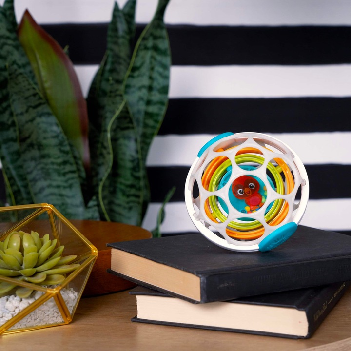 Image du produit Baby Einstein Le gyroscope de Roxy