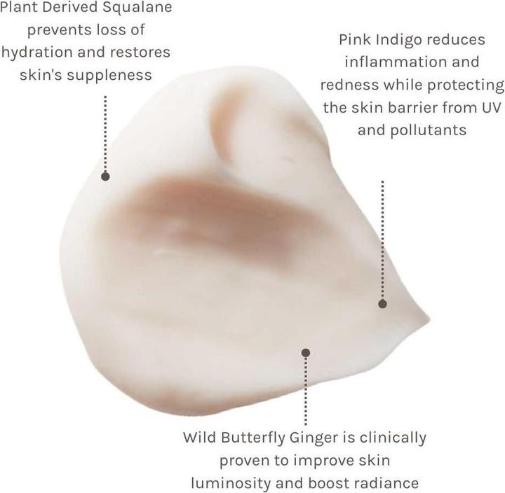 Immagine prodotto Evolve Organic Beauty Natural Hydrate and Protect Facial Cream 2oz 60ml (60 ml, Crema da giorno)