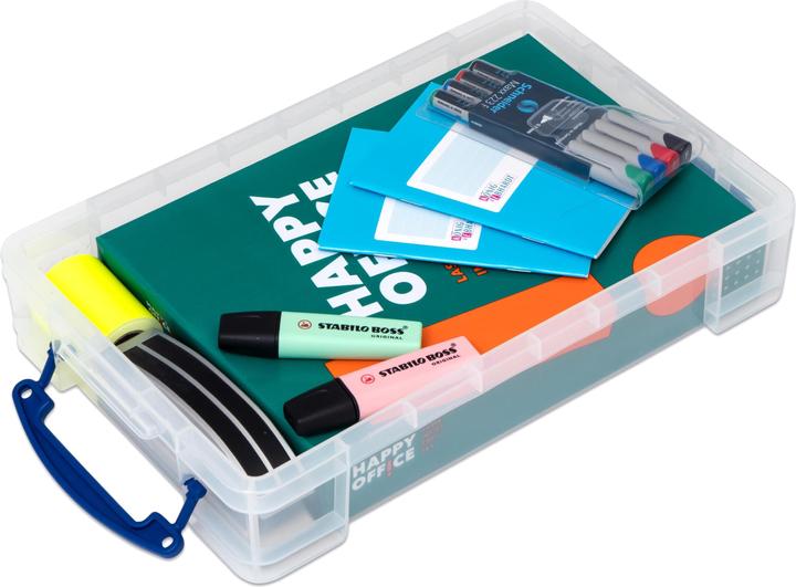 Actual product image Box Storage 4 l (39.5 x 25.5 x 9 cm, 4 l)
