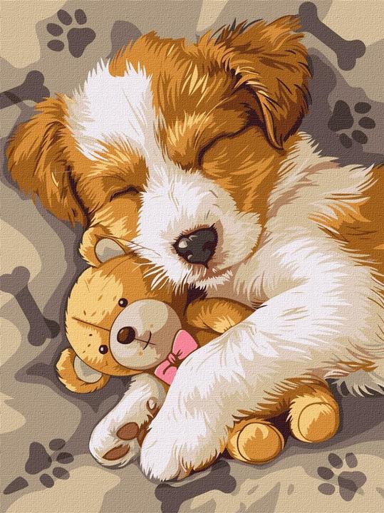 Ideyka Malen nach Zahlen - Ein schlafender Jack Russell 30 x 40 cm