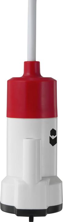 Actual product image Toolcraft Low-voltage submersible pump