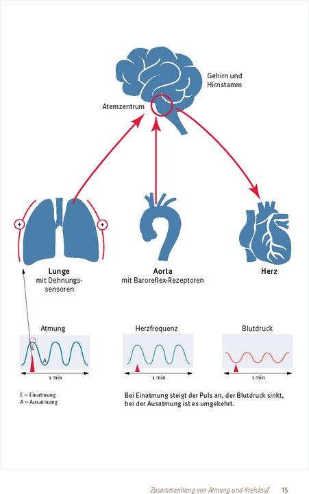 Actual product image Expertenwissen: Bluthochdruck (German, Ines Mikisek, Thomas Mengden, 2024)