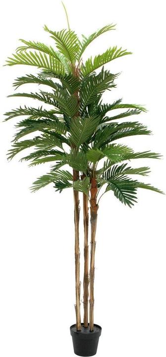 Produktbild Europalms Kentia Palme, Kunstpflanze, 180cm (180 cm)