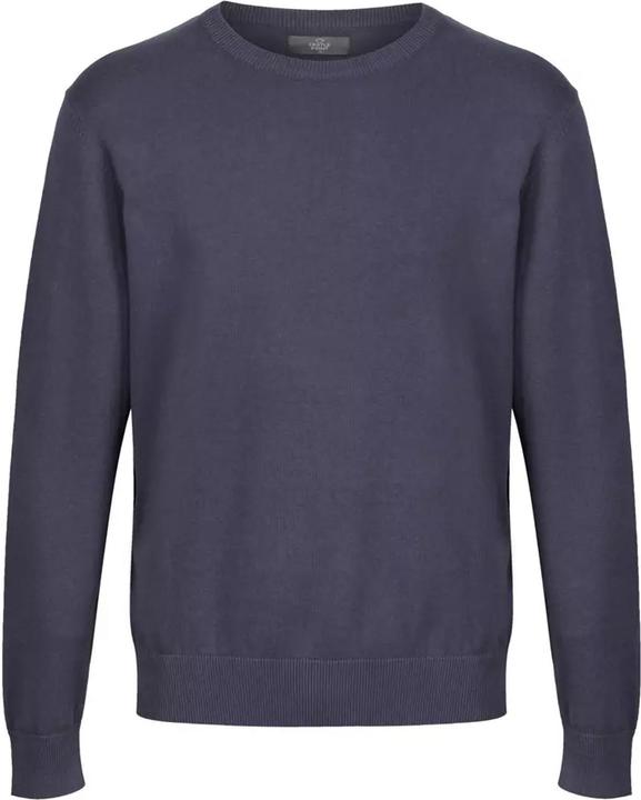 Actual product image Castle Point Mens Sweatshirt (L)