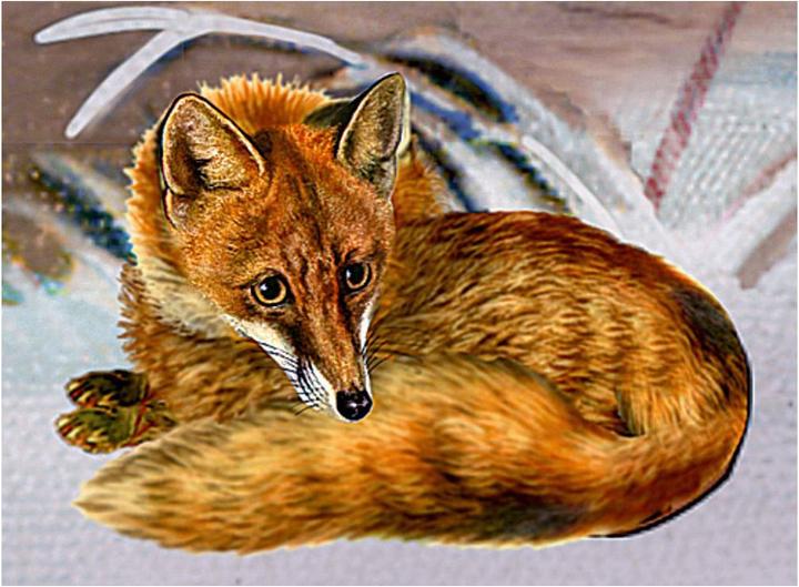 Produktbild Winterlichtes Cottage