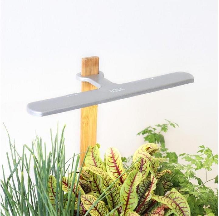 Image du produit Prêt à Pousser Lilo