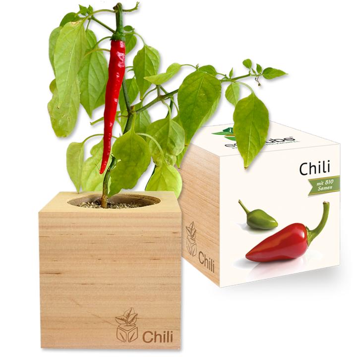 Image du produit Feel Green Ecocube (Graines de légumes)