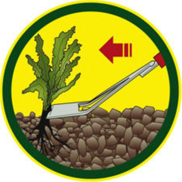 Actual product image Wolf-Garten Jätschuffel 13 cm Combisystem