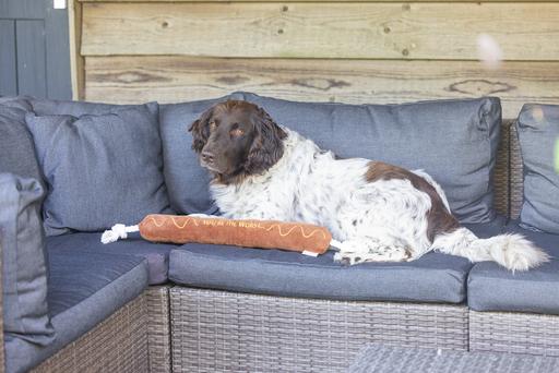 Immagine prodotto Beeztees Grillwurst + Seil (Cane giocattolo da tiro)