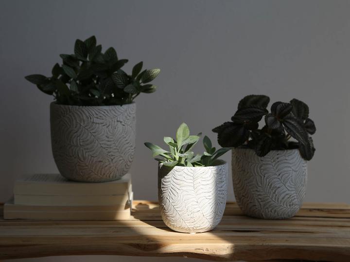 Produktbild I Am Creative Blumentopf (12 x 11 cm)