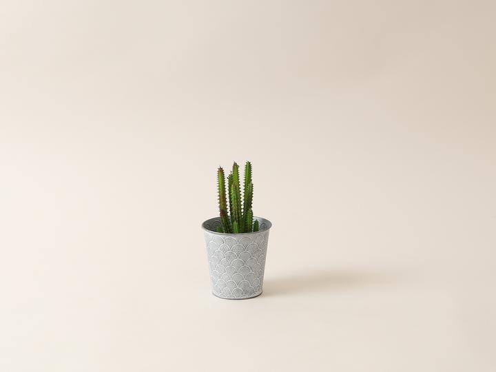 Produktbild I Am Creative Blumentopf (11 x 11 cm)