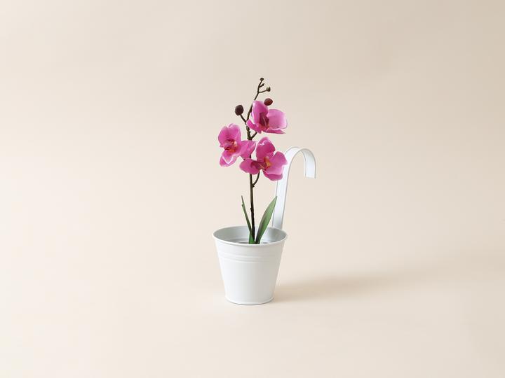 Produktbild I Am Creative Blumentopf mit Haken (11.50 x 22.50 cm)