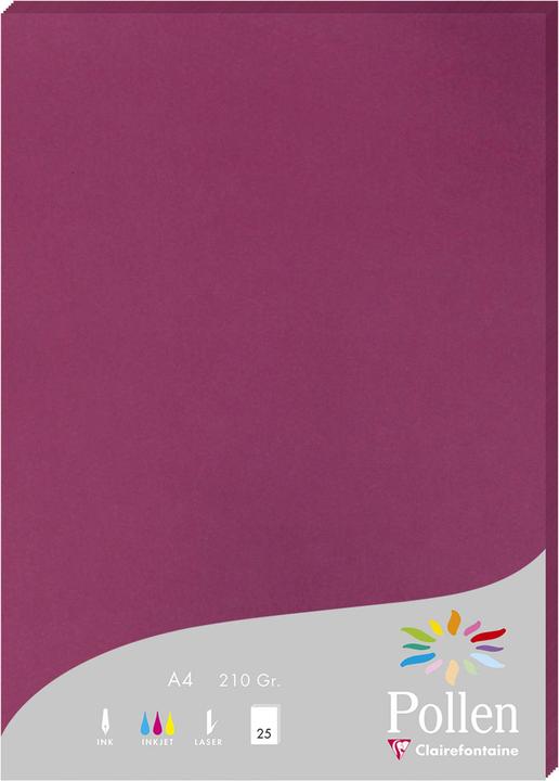 Produktbild Pollen Papier (210 g/m², A4)