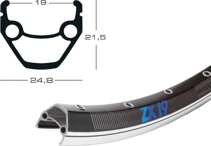 Exal 559-19 VL (26")