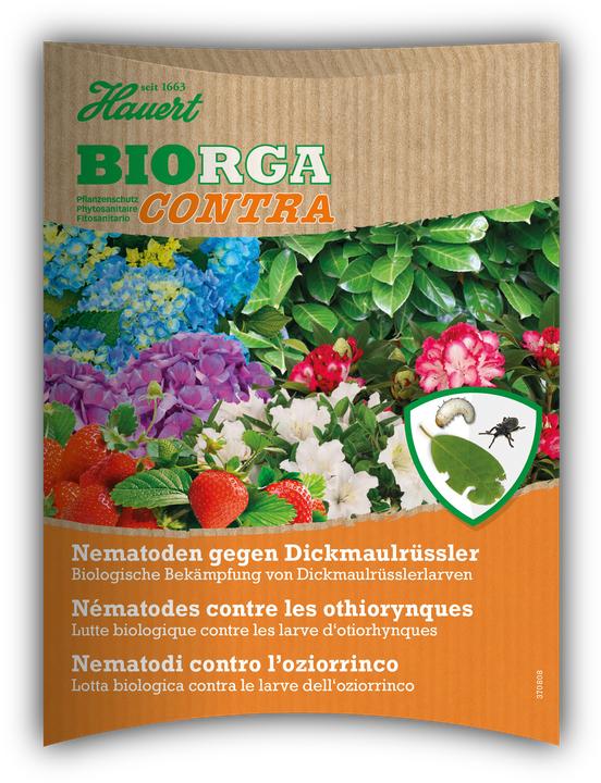 Image du produit Hauert Nématodes (bon de commande) (Larves)