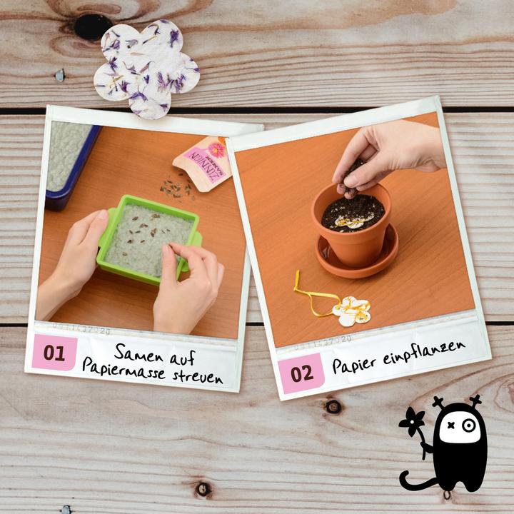 Produktbild Kosmos Blühendes Papier