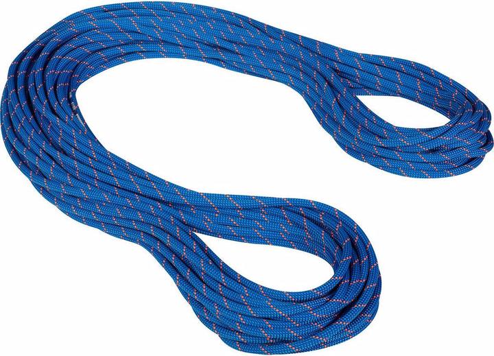 Mammut 9.5 Crag Dry climbing rope (40 m)
