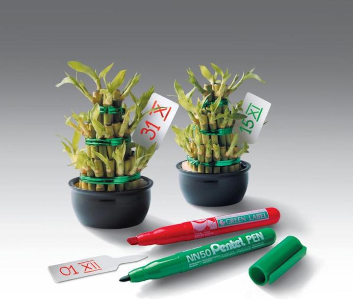 Produktbild Pentel Permanent Marker Green-Label NN50 (Grün, 2 mm, 1 x)