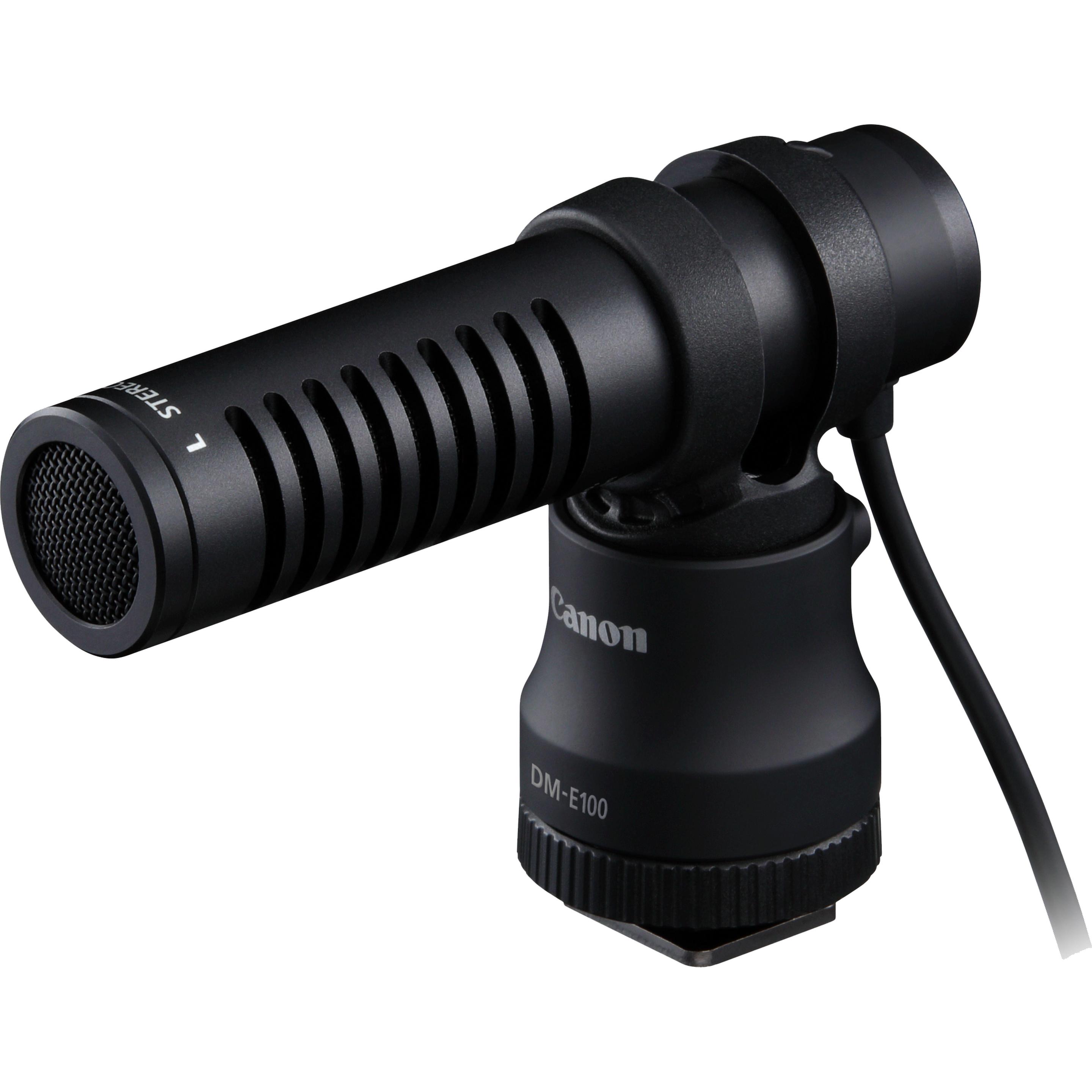 Canon DM-E100, Mikrofon