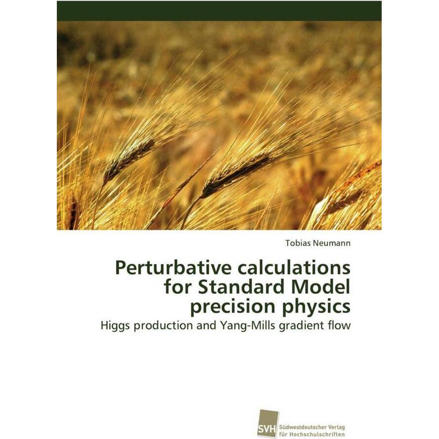 Perturbative calculations for Standard Model precision physics, Fachbücher von Tobias Neumann