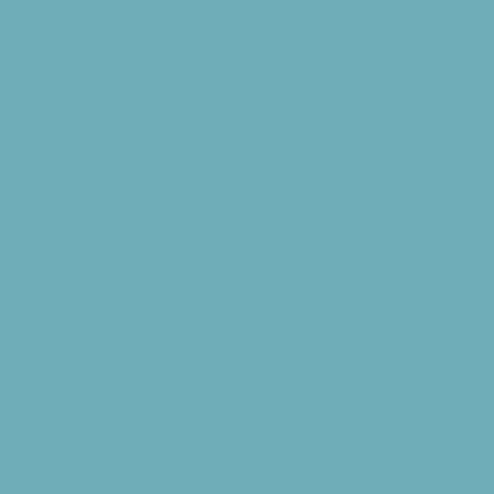 Produktbild Formesse Jersey Spannbetttuch Bella Gracia (180x200 cm, 200x200 cm)