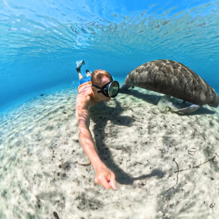 Actual product image Insta360 X5 Invisible Dive Case