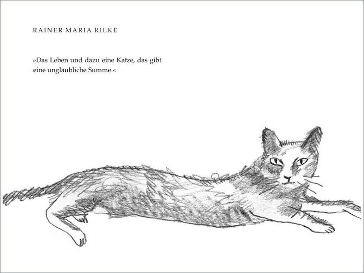Produktbild »Seither schlief sie bei meiner Frau« (Deutsch, Isabel Pin, Matthias Reiner, 2017)