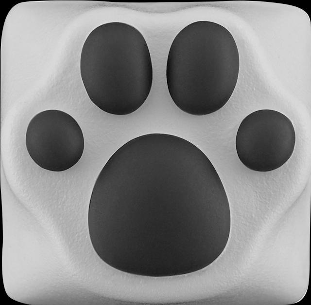 Actual product image Varmilo Panda Paw
