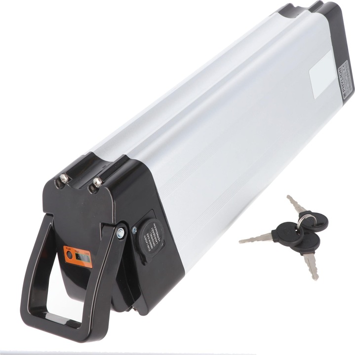 Actual product image AccuCell Phylion XH370-10J e-bike battery 36/37V 12Ah 432Wh Silver Fish (481 Wh, E-Bike battery)