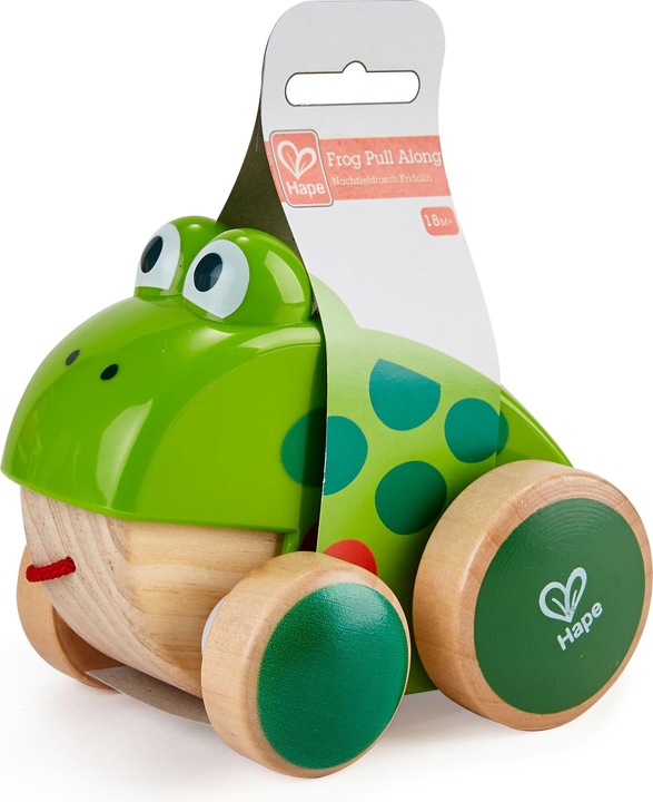 Actual product image Hape Frog