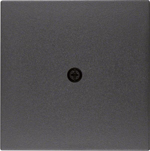 Actual product image Berker Central piece