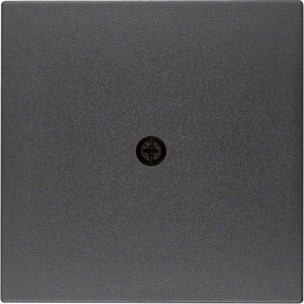 Berker, Zubehör Schalterprogramm, Zentralstück