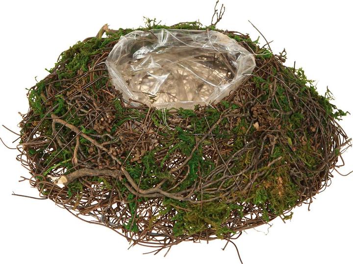 Actual product image Viana Runde Pflanzschale Moos und Reben (7 cm)