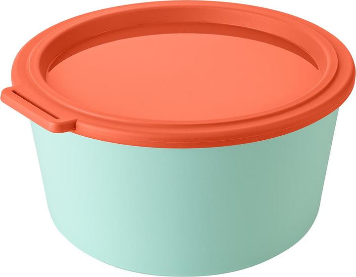 Strong Coral, Sweet Green