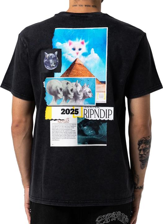 Produktbild RipnDip Nerm Geo T-Shirt (M)