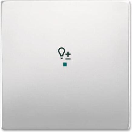 Actual product image Busch-Jaeger Rocker