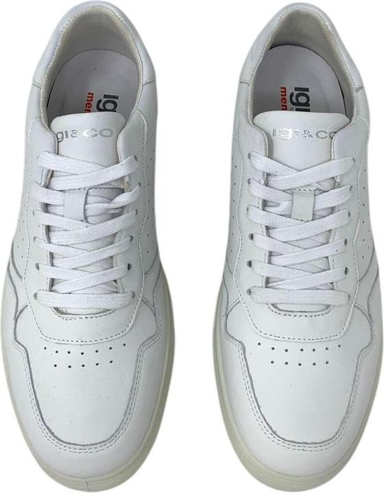 Image du produit Igi&co Sacha (43)