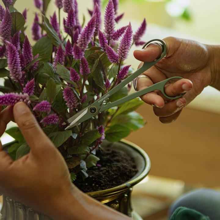 Actual product image Fiskars 1075317 3-piece secateurs