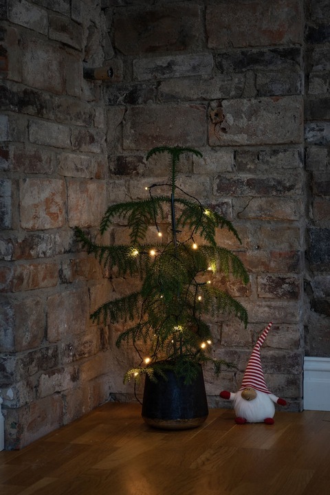 Actual product image Konstsmide LED fairy lights with switch 30 lights, battery operated (4.35 m)