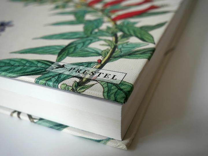Produktbild Alexander von Humboldt und die botanische Erforschung Amerikas (Deutsch, H. Walter Lack, 2018)
