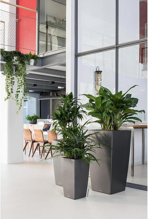 Image du produit Lechuza Cubico (39.50 cm)