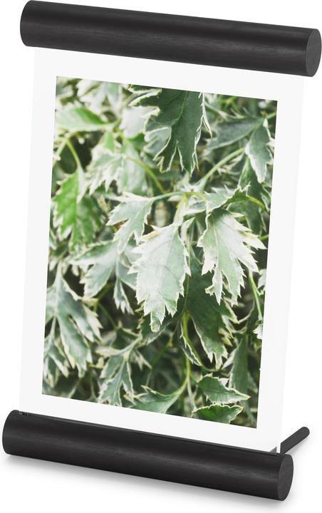 Immagine prodotto Umbra Scroll (13 x 18 cm)