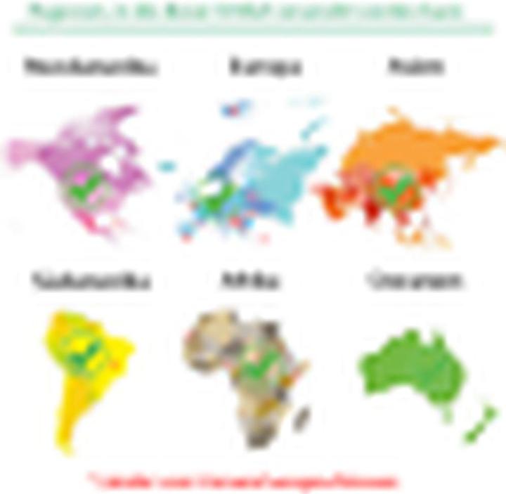 Actual product image Berdoues 1902 Vetiver (Eau de cologne, 125 ml)