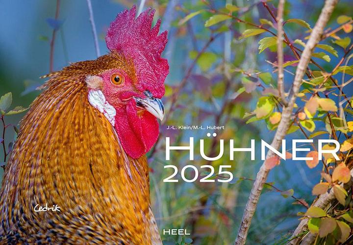 Produktbild Hühner Kalender 2025 (Harter Einband, Deutsch)