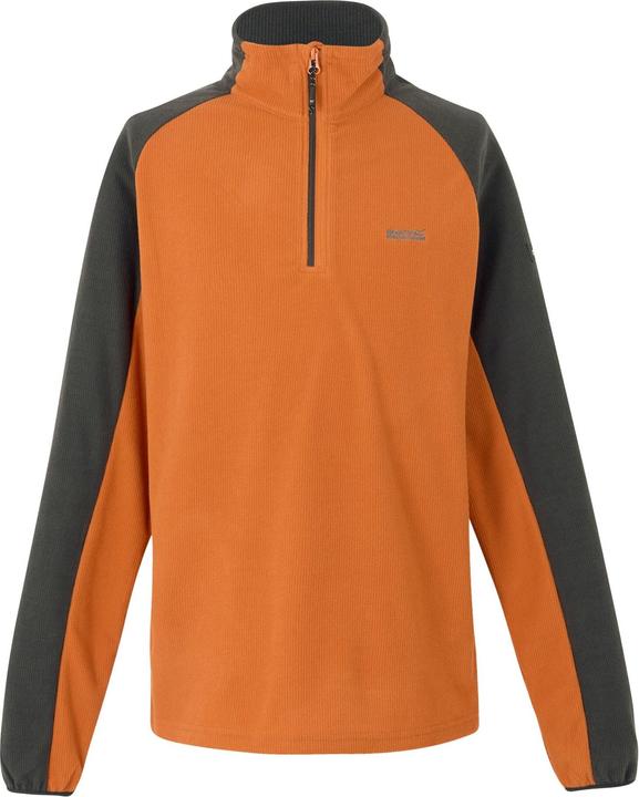 Actual product image Regatta Mens Elson II Lightweight Fleece (S)