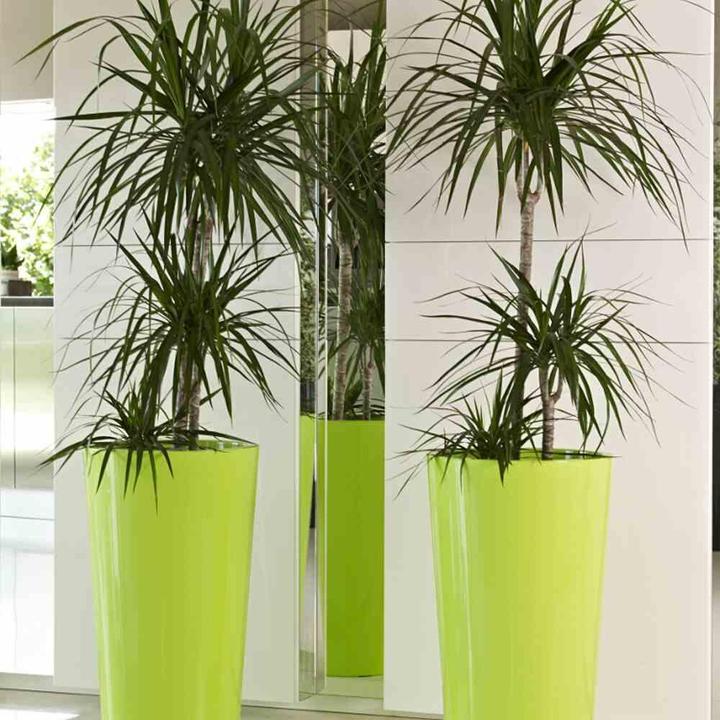 Produktbild Euro3plast Pflanzkübel (33 cm)