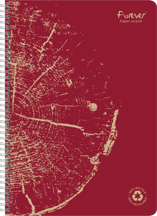 Image du produit Calligaphe Cahier à reliure spirale Forever Premium (A4, Quadrillé, Couverture rigide)