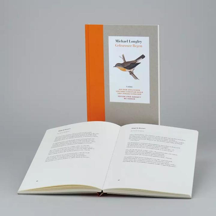 Produktbild Gefrorener Regen (Deutsch, Michael Krüger Longley, 2017)