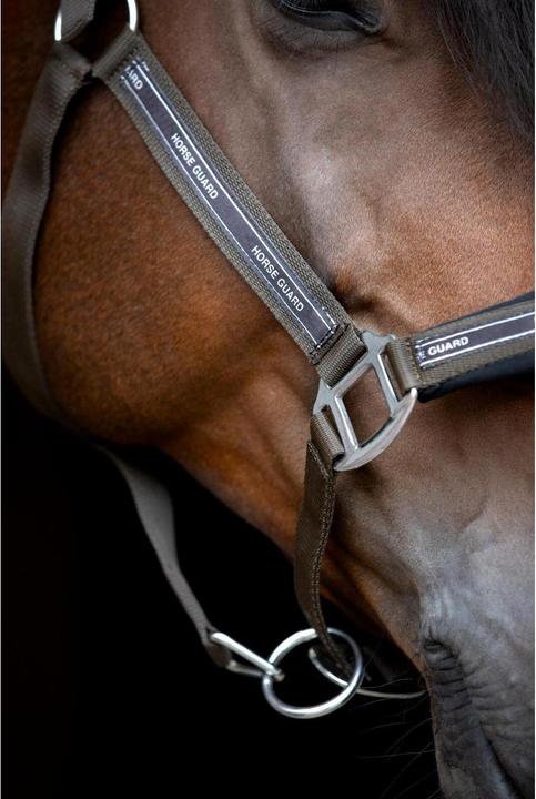 Immagine prodotto Horse Guard Maison