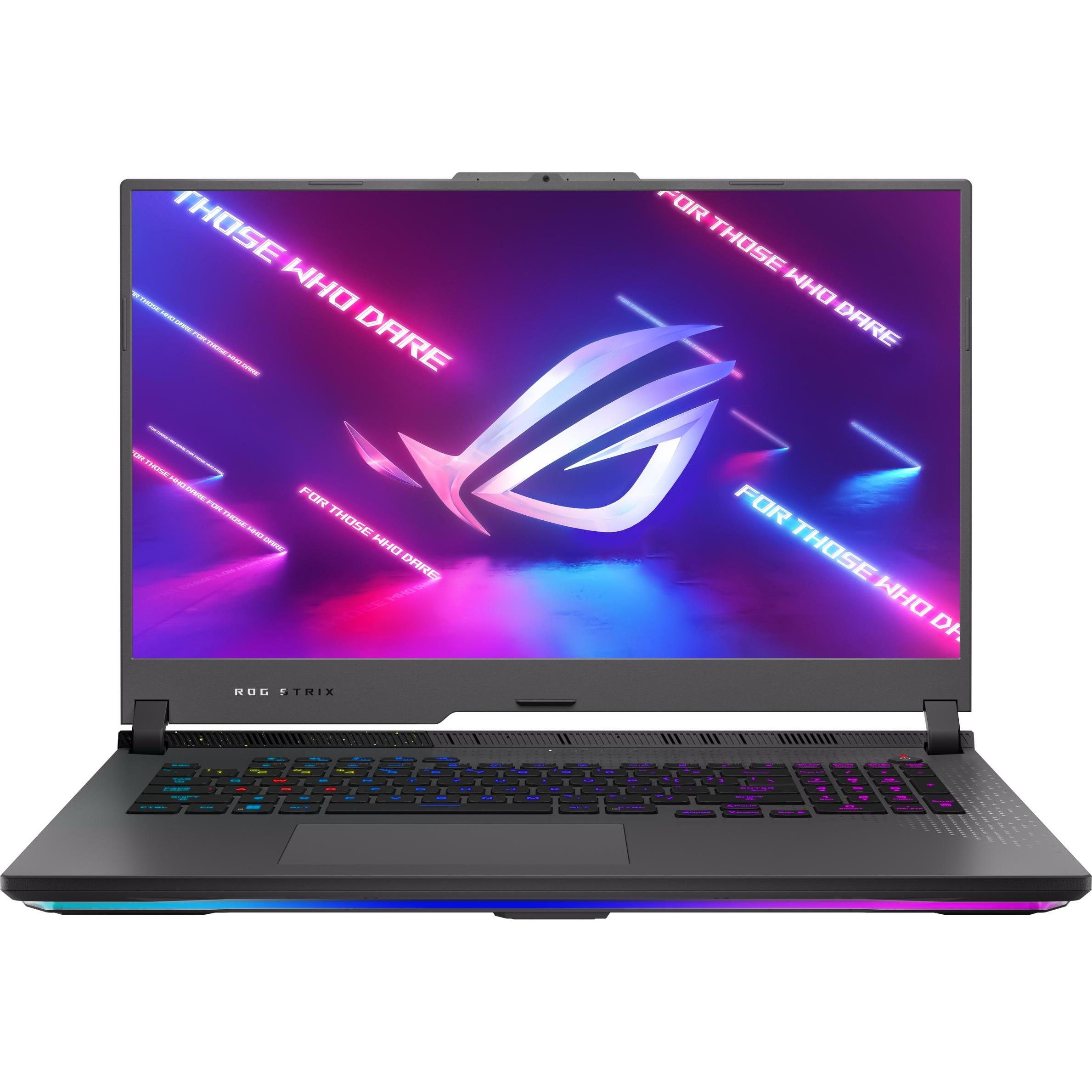 ASUS ROG Strix G17 RTX 4060 (17.30", 1000 GB, 16 GB, DE, AMD Ryzen 9 7940HX), Notebook, Grau